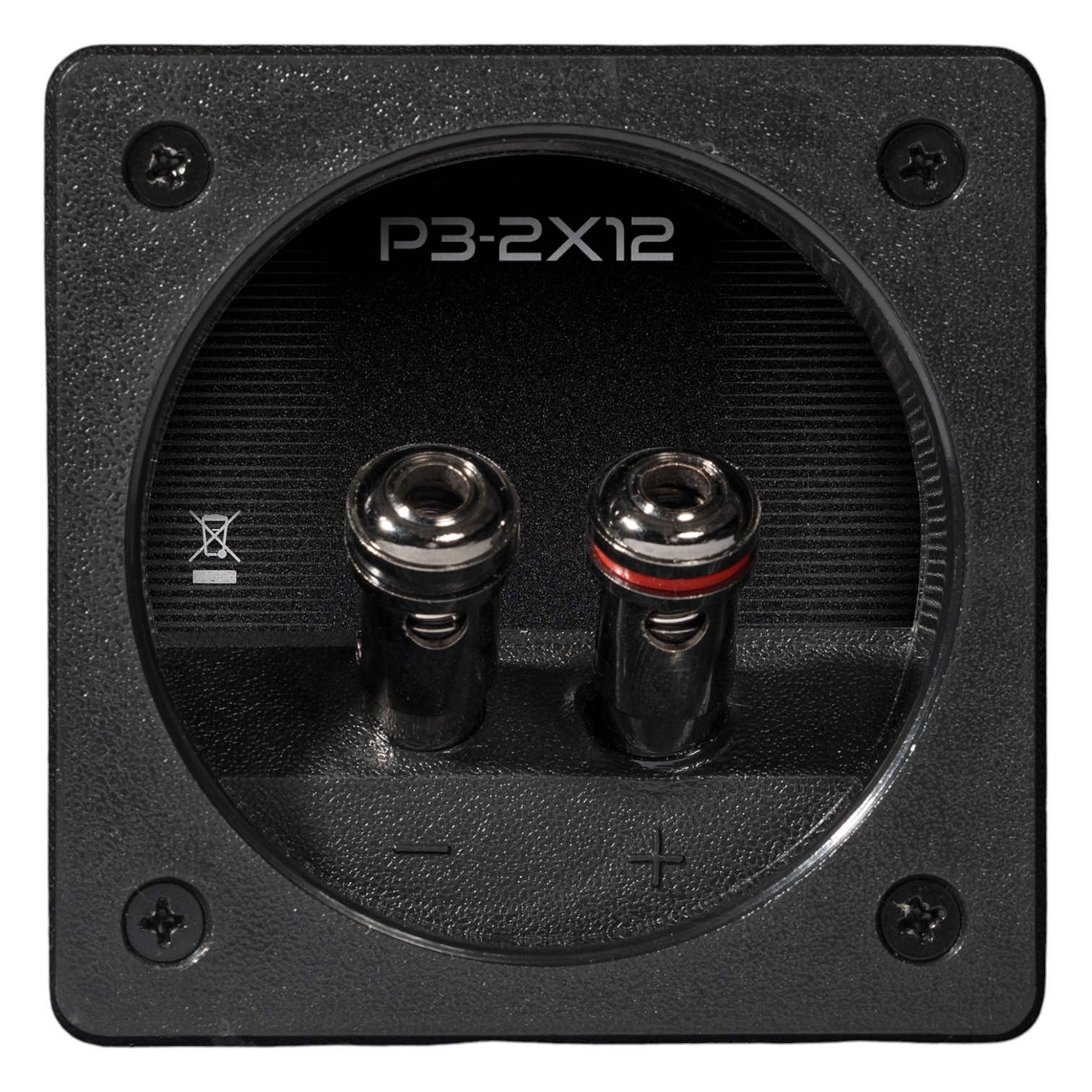 p3-2x12 CONECTOR